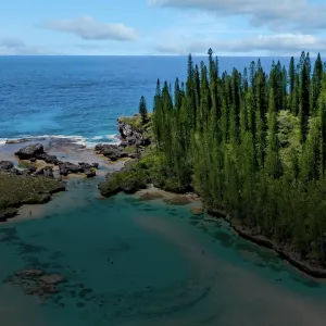 demenager en nouvelle caledonie